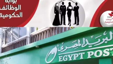 نتائج البريد المصري جميع المحافظات بوابة الوظائف الحكومية
